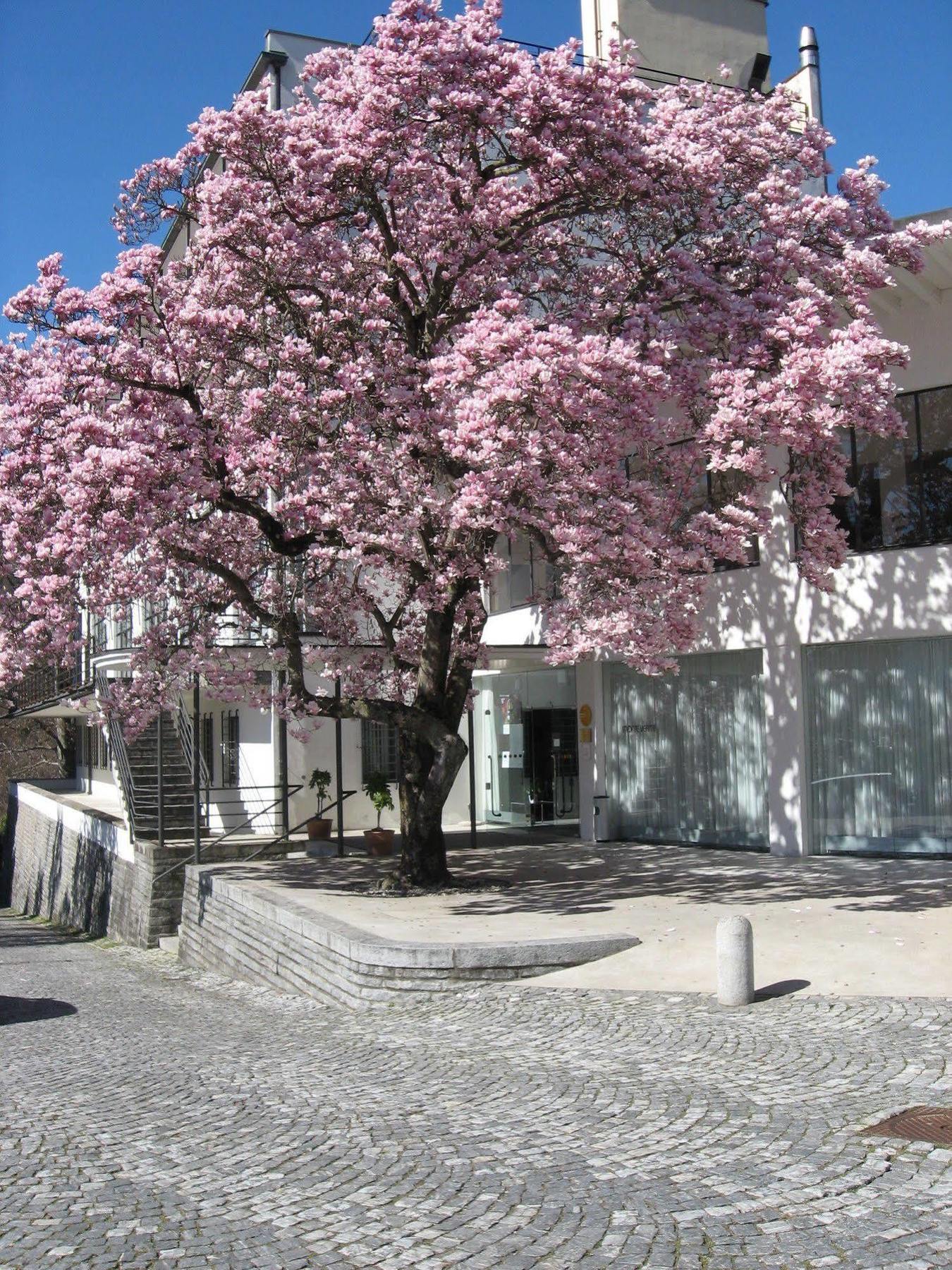 Hotel Monte Verità Ascona Exterior foto